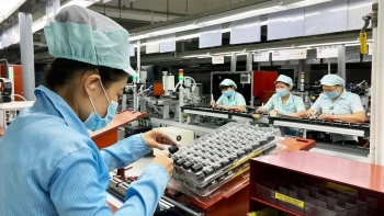 Thị trường đón hơn 128.000 doanh nghiệp mới trong 8 tháng