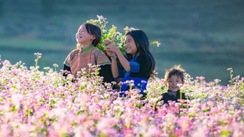 Sản phẩm du lịch mới tạo sức hút, mở kỳ vọng cho mùa cao điểm cuối năm