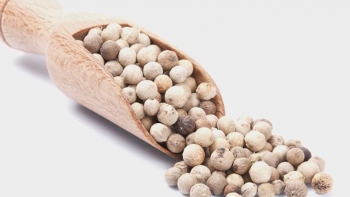 Giá tiêu hôm nay 9/9: Chững lại sau đà tăng, thị trường chờ đợi cú hích mới