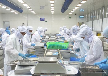 Doanh nghiệp Việt Nam cần chuẩn xanh để khai thác EFTA