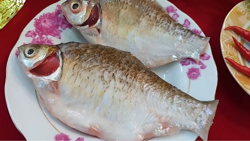 Cá mè tuy tanh nhưng là nguyên liệu làm nên món gỏi ngon khó cưỡng (Ảnh: Báo hóa Xanh) Cá mè tuy tanh nhưng là nguyên liệu làm nên món gỏi ngon khó cưỡng (Ảnh: Báo hóa Xanh)