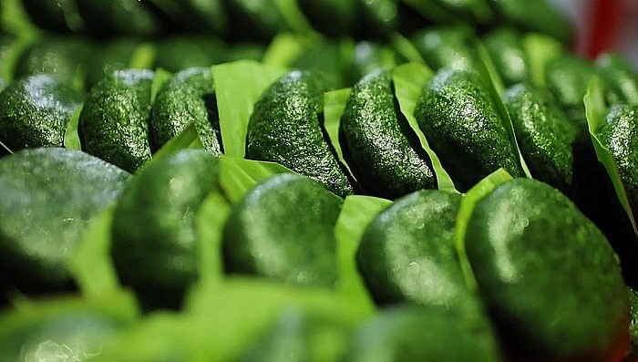 Bánh ngải thoạt nhìn giản dị, nhỏ nhắn, nhưng quá trình làm bánh lại đòi hỏi nhiều công đoạn công phu. Bánh ngải thoạt nhìn giản dị, nhỏ nhắn, nhưng quá trình làm bánh lại đòi hỏi nhiều công đoạn công phu.