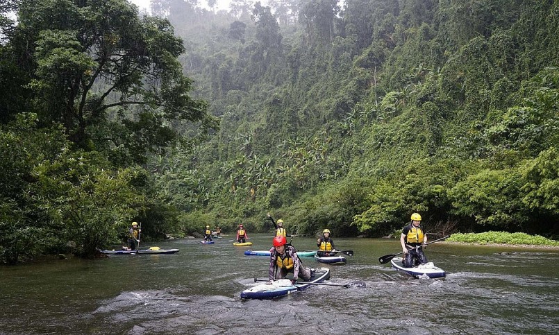 Rừng Quốc gia Pù Mát là địa điểm du lịch nổi tiếng tại Nghệ An Rừng Quốc gia Pù Mát là địa điểm du lịch nổi tiếng tại Nghệ An