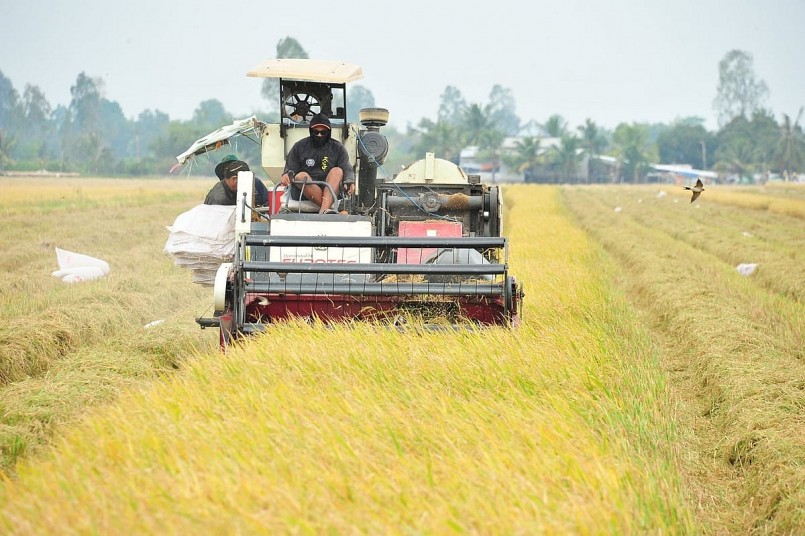 Ảnh: Lê Hoàng Vũ. Ảnh: Lê Hoàng Vũ.