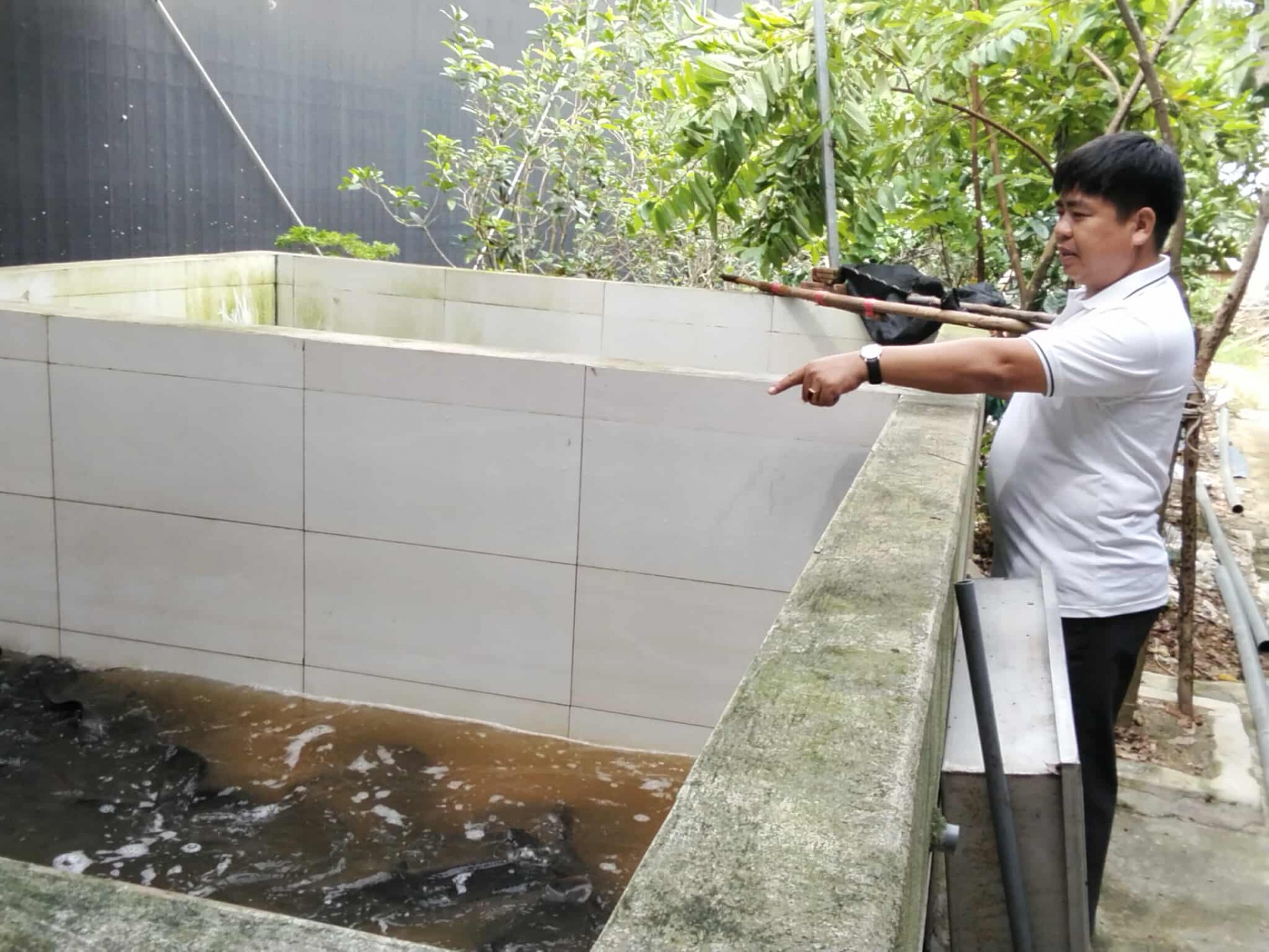 Từ vườn lan bão hòa đến trại cầy hương tiền tỷ “Hành trình ngược dòng của người nông dân xứ Thanh”