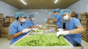 Khi giá thành còn là thách thức lớn nhất của sản phẩm xanh