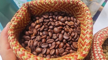 Giá cà phê hôm nay 12/9: Robusta tiếp đà bứt phá, thị trường trong nước sôi động trước cơ hội lớn