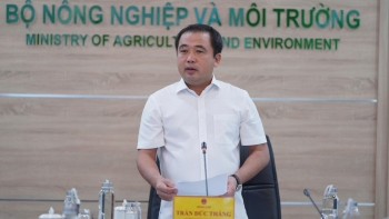 Thị trường gạo Việt Nam không chịu tác động lớn