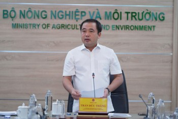 Thị trường gạo Việt Nam không chịu tác động lớn