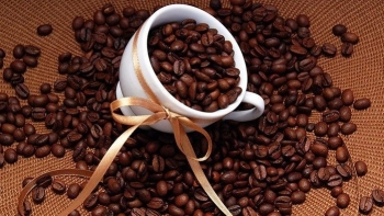 Giá nông sản hôm nay 13/9: Cà phê tiếp đà tăng mạnh, hồ tiêu giữ mốc cao