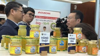 Chất lượng yến sào và bài toán chống hàng giả