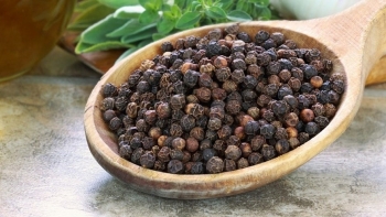 Giá hồ tiêu hôm nay 20/9: Giữ vững mốc 150.000 đồng/kg, Tây Nguyên dẫn đầu cả nước