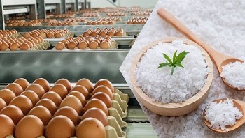 Bộ Công Thương lấy ý kiến về hạn ngạch muối, trứng gia cầm năm 2026