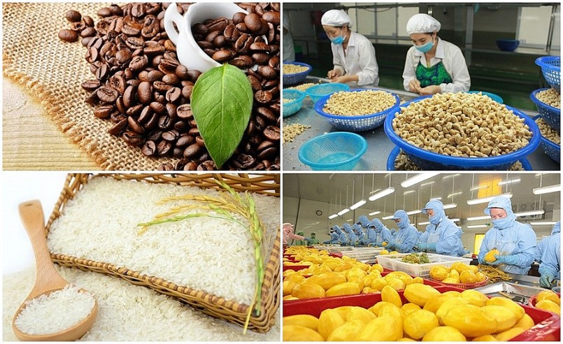 Siết quản lý để bảo đảm chất lượng nông sản xuất khẩu Siết quản lý để bảo đảm chất lượng nông sản xuất khẩu