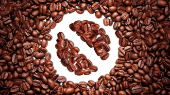 Giá cà phê hôm nay 22/9: Lao dốc không phanh, thị trường Tây Nguyên chìm trong sắc đỏ