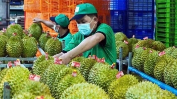 Xuất khẩu rau quả xác lập kỷ lục 650 triệu USD trong 15 ngày