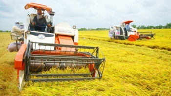 Đề án trồng trọt giảm phát thải: Nền tảng tạo dựng thương hiệu nông sản bền vững