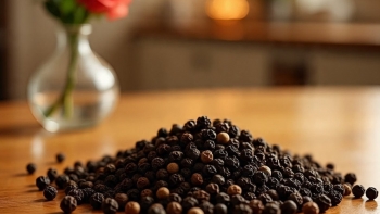 Giá tiêu hôm nay 1/10: Đồng loạt giảm sâu, nông dân đối mặt nhiều áp lực