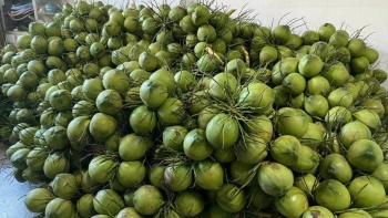 Ngành rau quả vượt khó, hứa hẹn cán mốc 8 tỉ USD 2025