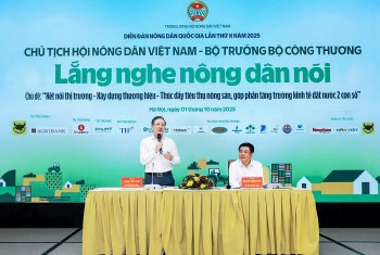 Từ OCOP đến thị trường quốc tế: Con đường xây dựng thương hiệu nông sản Việt