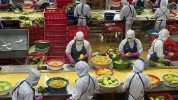 Xuất khẩu nông lâm thủy sản 9 tháng vượt 52 tỷ USD