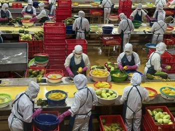 Xuất khẩu nông lâm thủy sản 9 tháng vượt 52 tỷ USD