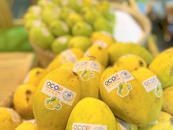 Từ OCOP đến Thương hiệu Quốc gia: 