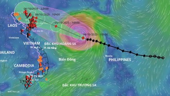 Miền Bắc sắp hứng chịu đợt mưa đặc biệt to do bão số 11