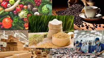 Xuất khẩu nông, lâm, thủy sản hướng tới kỷ lục 70 tỷ USD