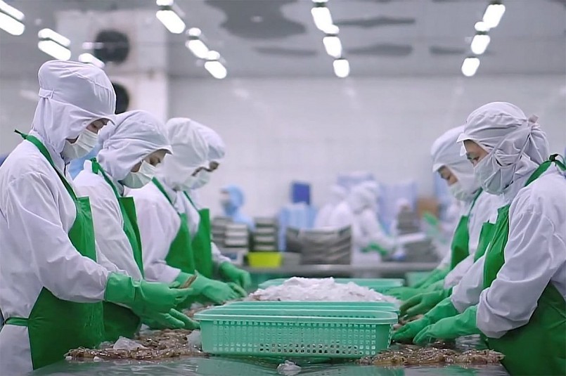 uất khẩu thủy sản dự báo gặp nhiều khó khăn trong giai đoạn tới. uất khẩu thủy sản dự báo gặp nhiều khó khăn trong giai đoạn tới.