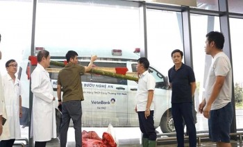 Ứng phó bão Matmo: Bộ Y tế yêu cầu không để gián đoạn khám chữa bệnh, cấp cứu