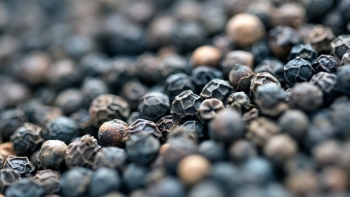 Giá tiêu hôm nay 7/10: Tăng tại nhiều vùng trọng điểm, nông dân giữ hàng chờ giá cao