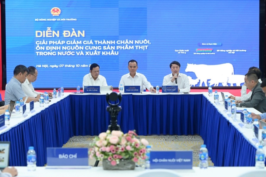Quang cảnh Diễn đàn. Quang cảnh Diễn đàn.