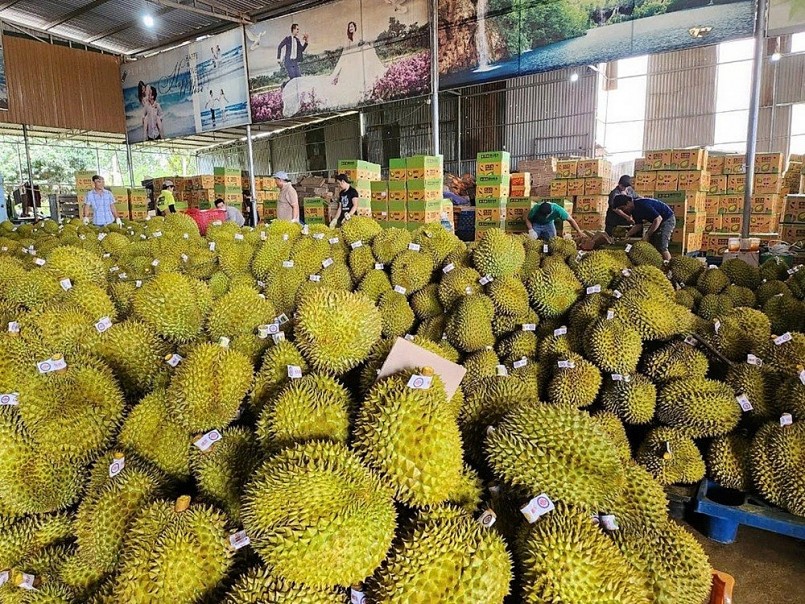 Trung Quốc chi mạnh hơn 1 tỷ USD nhập rau quả Việt