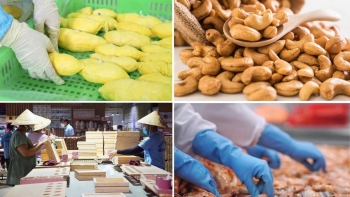 Doanh nghiệp nông, lâm, thủy sản: Khai mở tiềm năng từ chính sách thuế