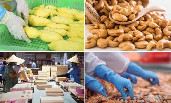 Doanh nghiệp nông, lâm, thủy sản: Khai mở tiềm năng từ chính sách thuế