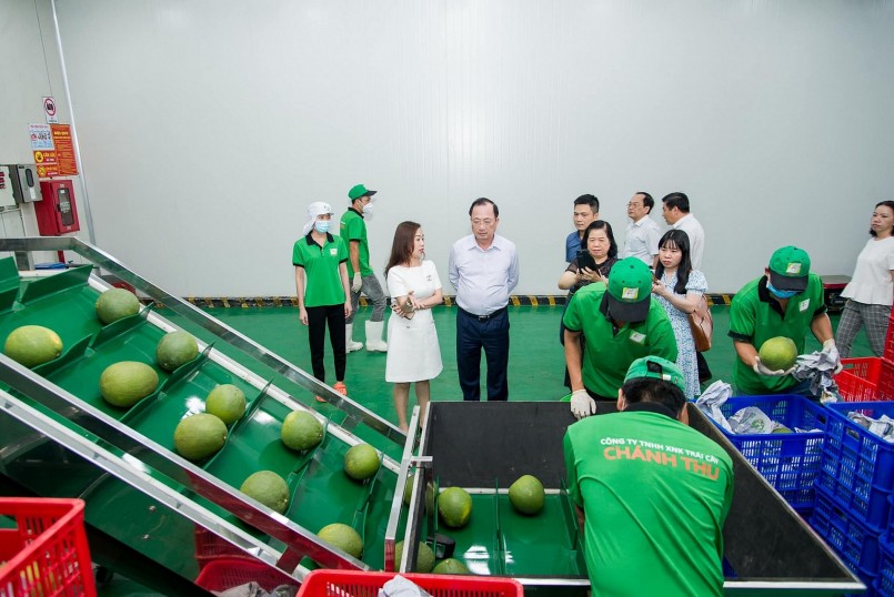 Xử lý kỹ thuật cho trái bưởi trước khi xuất khẩu tại Công ty cổ phần Tập đoàn Xuất nhập khẩu trái cây Chánh Thu. Xử lý kỹ thuật cho trái bưởi trước khi xuất khẩu tại Công ty cổ phần Tập đoàn Xuất nhập khẩu trái cây Chánh Thu.