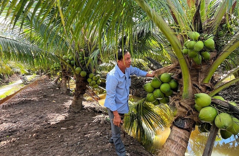 Nông dân ký hợp đồng được doanh nghiệp bao tiêu đầu ra, giúp giá bán ổn định và kỹ thuật canh tác được hướng dẫn bài bản. Nông dân ký hợp đồng được doanh nghiệp bao tiêu đầu ra, giúp giá bán ổn định và kỹ thuật canh tác được hướng dẫn bài bản.