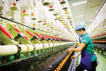 Doanh nghiệp Việt trước cơ hội mở rộng thị trường