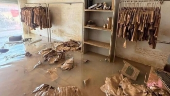 Bộ Tài chính giảm thuế, gia hạn nộp cho doanh nghiệp thiệt hại sau bão