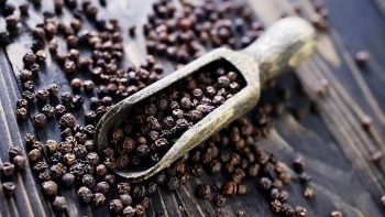 Giá hồ tiêu hôm nay 13/10: Thị trường trong nước bình ổn ở mức đỉnh, xuất khẩu lập kỷ lục mới