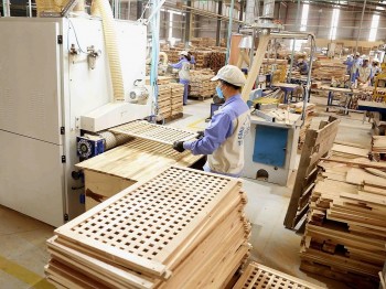 Doanh nghiệp gỗ kiến nghị tháo gỡ vướng mắc hoàn thuế GTGT