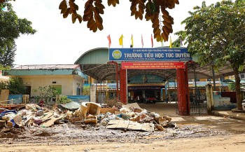 Hỗ trợ tâm lý sau thiên tai: Vì sao lại quan trọng?