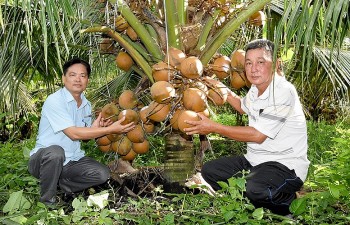 Nông dân Tân Hội biến vườn tạp thành 