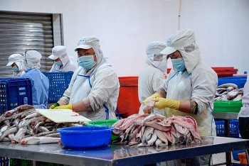 Vinafis Expo 2026: Triển lãm quốc tế chuyên ngành thủy sản đầu tiên tại Việt Nam