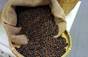 Giá hồ tiêu tăng vọt, Việt Nam thu về gần 1,3 tỷ USD