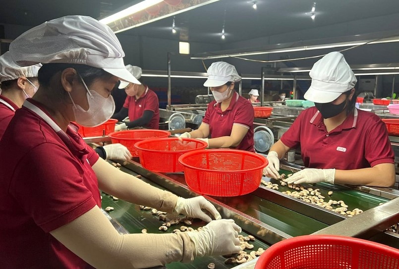 Chi phí logistics và tỷ giá biến động vẫn là những yếu tố ảnh hưởng lớn đến hiệu quả xuất khẩu Chi phí logistics và tỷ giá biến động vẫn là những yếu tố ảnh hưởng lớn đến hiệu quả xuất khẩu