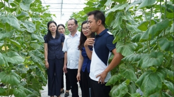 Xây dựng thế hệ 'nông dân số': Từ đồng ruộng lên sàn thương mại điện tử