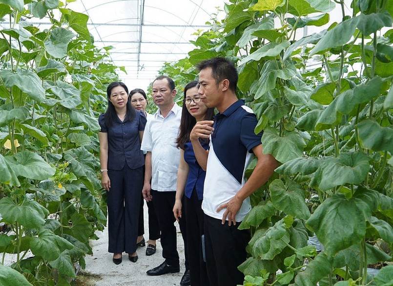 Mô hình trồng dưa công nghệ cao ở phường Cách Bi, thị xã Quế Võ. Ảnh: H.N.D Mô hình trồng dưa công nghệ cao ở phường Cách Bi, thị xã Quế Võ. Ảnh: H.N.D