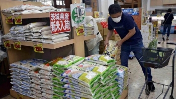 Từ vụ 45 tấn gạo buôn lậu sang Nhật: Hồi chuông cho nông sản Việt